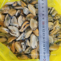 frozen cooked full shell mussels